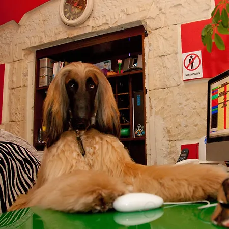 Miramare 4* Cagliari