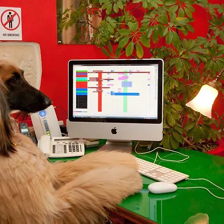 Hotel Miramare Cagliari